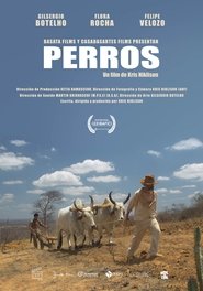 Dogs movie poster