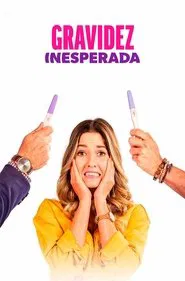Poster do filme Gravidez Inesperada