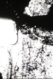 Poster do filme Apollo