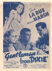 Poster do filme Gentleman from Dixie