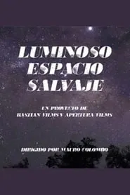 Poster do filme Wild Gleaming Space