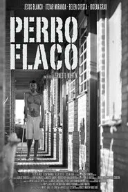 Perro flaco movie poster
