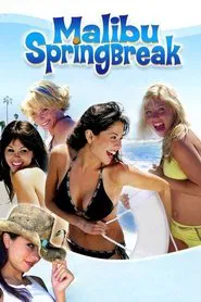 Poster do filme Malibu Spring Break