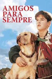 Poster do filme Amigos para Sempre