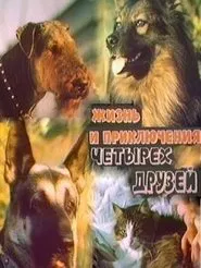 The Adventures of Four Friends movie poster
