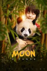 Poster do filme Moon The Panda