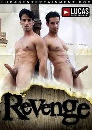Revenge movie poster
