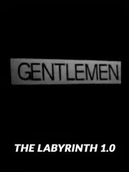 The Labyrinth 1.0 movie poster