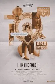 Poster do filme In The Fold