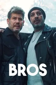 Bros tv show poster