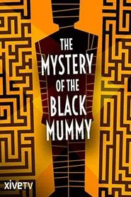 Poster do filme The Mystery of the Black Mummy
