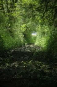 On Location movie poster