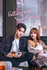 Falling Into Your Smile tv show poster