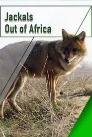 Jackals - Out of Africa movie poster