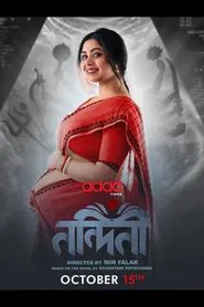 Nandini tv show poster