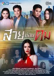 Cruel Seduction tv show poster