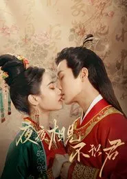 My Decoy Bride tv show poster