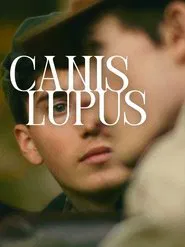 Poster do filme Canis Lupus