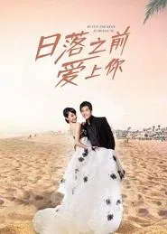 Still in Love With You Before Sunset tv show poster