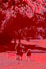 Branches movie poster