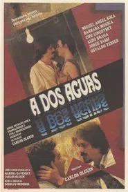 A dos aguas movie poster