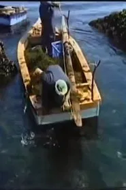 Poster do filme Fishing Moon