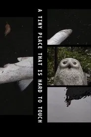A Tiny Place That Is Hard to Touch movie poster