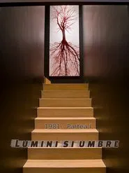 Poster da série Lumini și umbre