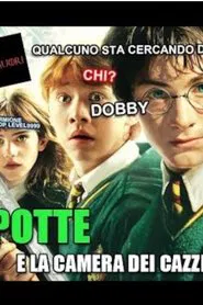 ERRIPOTTE E LA CAMERA DEI CA**IDELL'ALTRI movie poster