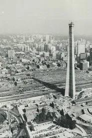 Catch the Sun movie poster