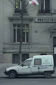 Nous sommes tous des cafards movie poster