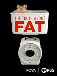 Poster do filme The Truth About Fat
