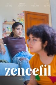 Zencefil movie poster
