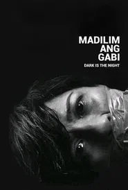 Poster do filme Dark Is the Night