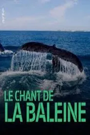 Whale Patrol movie poster