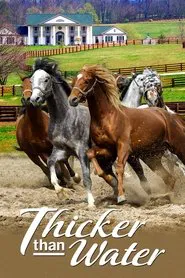 Poster do filme Thicker Than Water