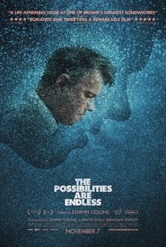 The Possibilities Are Endless movie poster