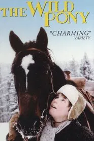 The Wild Pony movie poster