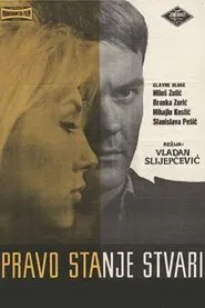 Poster do filme The Real State of Affairs