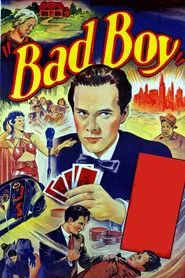 Poster do filme Bad Boy