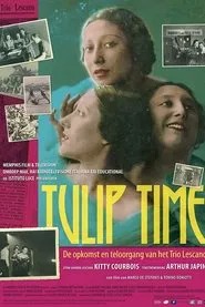 Poster do filme Tulip Time