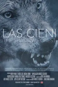 Las cieni movie poster
