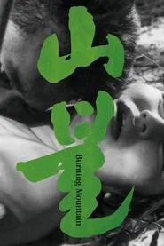 Flame in Valley movie poster