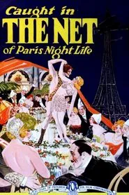 The Net movie poster