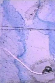 Poster do filme Botanicollage