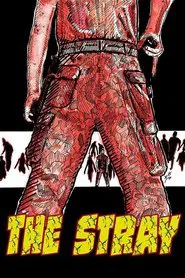 The Stray movie poster
