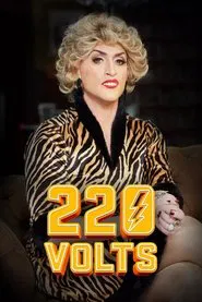 220 Volts tv show poster