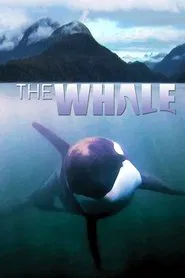 Poster do filme The Whale
