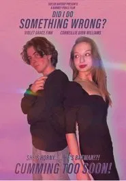 Did I do Something Wrong? movie poster