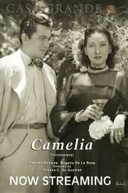 Camelia movie poster